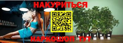 спиды Будённовск