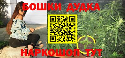 спиды Будённовск